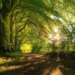 Navigating a busy world …